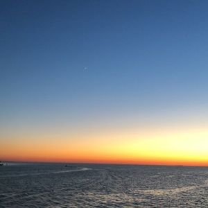 Meet your Posher, Irene